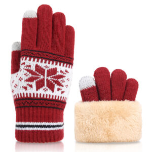Christmas Style Touchscreen Double-Layer Fleece Knit Gloves